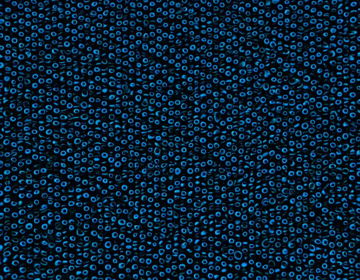 Featured image for blog post: Amateur Voyeur Videos: Compression Impact Explained